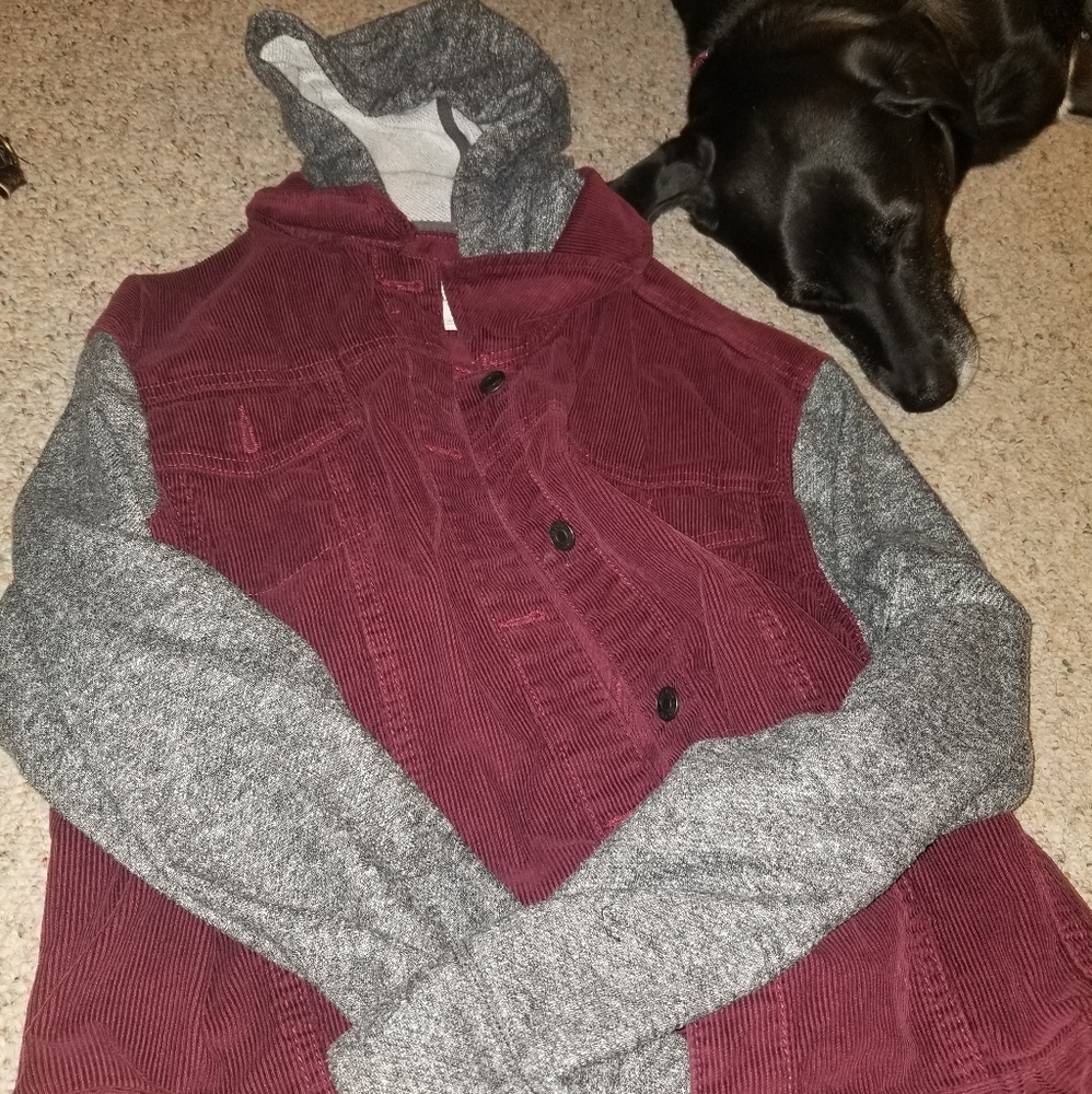 Jacket